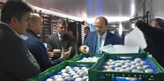 Guijarro: «Rejuvenencer el campo es invertir en futuro del sector agrario»