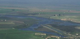 UPA lamenta que a pesar de sequía reconocida por CHG no haya soluciones para regantes