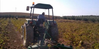 Unión de Uniones comparte preocupación con ministra por desarticulación agricultor activo