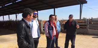 Productores de vacuno de carne de Toledo visitan explotaciones cebo catalanas