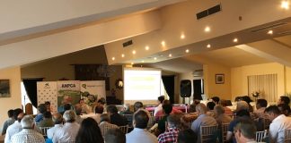 ANPCA destaca las buenas previsiones para el sector del ajo