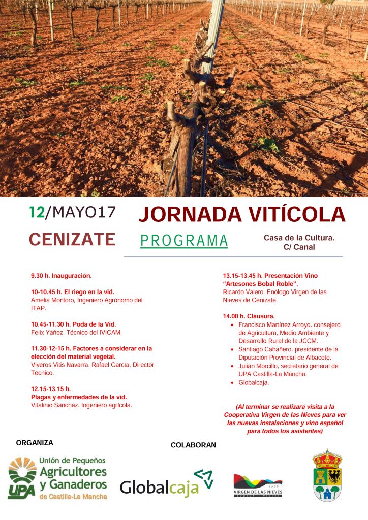 Cartel-Jornada-Cenizate_20170512-724x1024