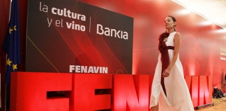 Moda y fotografía cierran la primera jornada de FENAVIN 2017