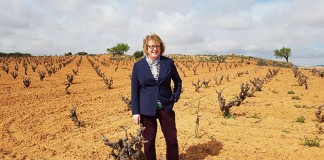 La Master of Wine Sara Jane Evans participará en FENAVIN