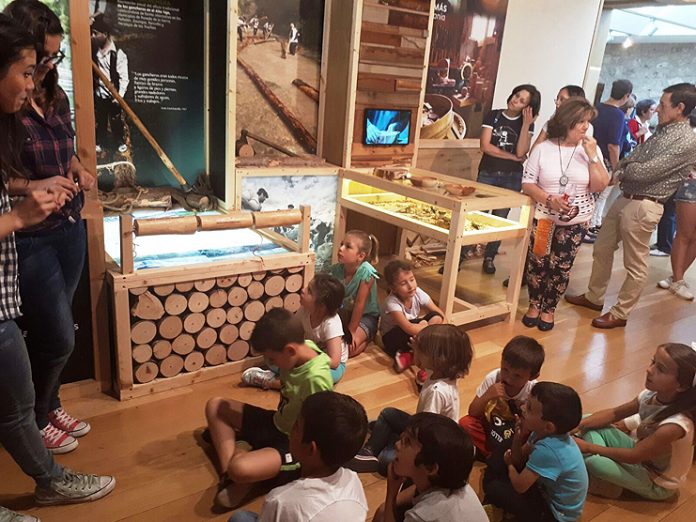 Foto Diputación. Balance Jornadas Infantiles Castillo Torija 1