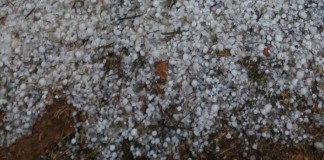 ASAJA estima daños por pedrisco en 12.000 hectáreas en Toledo