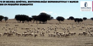UCLM forma en mejora genética y biotecnologías reproductivas en pequeños rumiantes