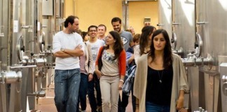 Hacia una titulación oficial en Enoturismo