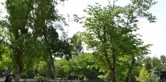 El alcalde de Talavera se compromete a seguir peleando por el Tajo y Alberche