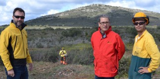 Más de 7 millones para trabajos selvicultura preventiva en provincia Guadalajara