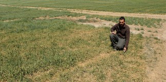 UPA pide al Parlamento partida urgente para sequía y heladas