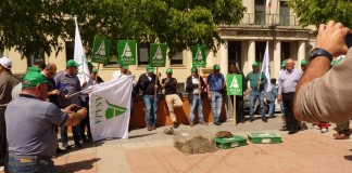 ASAJA Cuenca exige a administraciones «que arreglen problema de conejos»