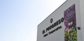 El Progreso supera previsiones recogiendo 7,4 millones kilos de aceituna