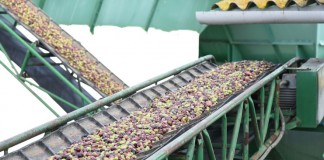 1.480.000 euros para promoción de cooperativas y sociedades laborales