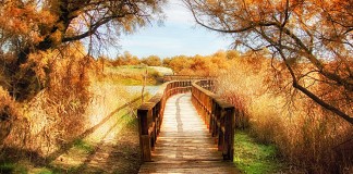 Una fotografía de Las Tablas de Daimiel gana Beca100