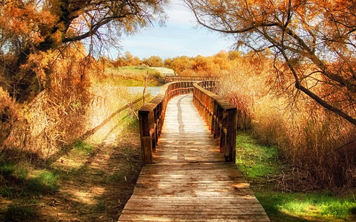 fotoganadorabeca100OtoñoEnLasTablas_R