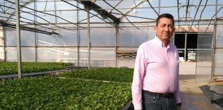 La Cooperativa «Santiago Apóstol» de Tomelloso espera cosecha de melón y sandia similar a la anterior