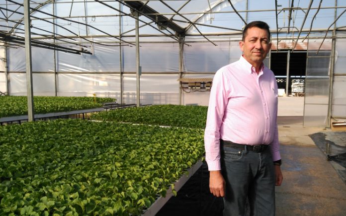 jose angel santiago apostol