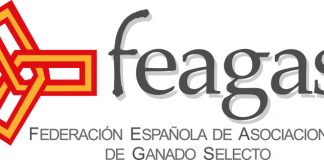 La Federación de Asociaciones de Ganado Selecto busca promoción en Paradores