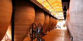 El vino, protagonista en la ‘Noche de los Museos’ de Valdepeñas