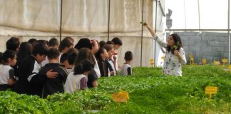 La Cooperativa Santiago Apóstol (Tomelloso) promociona melón y sandía entre escolares