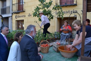 ramos con carrozas 5
