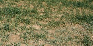 UPA califica de “decepcionante” la Mesa de la Sequía