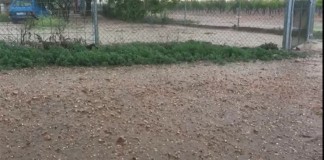 Pedrisco afecta a cultivos de Ciudad Real