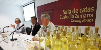 UCLM e IRIAF presentan investigación para recuperar variedades de vid minoritarias