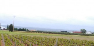 ASAJA Ciudad Real advierte sobre riesgos de líneas eléctricas en la actividad agraria