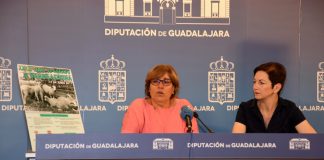 Hiendelaencina celebrará el próximo sábado la XXXIII Feria del Ganado