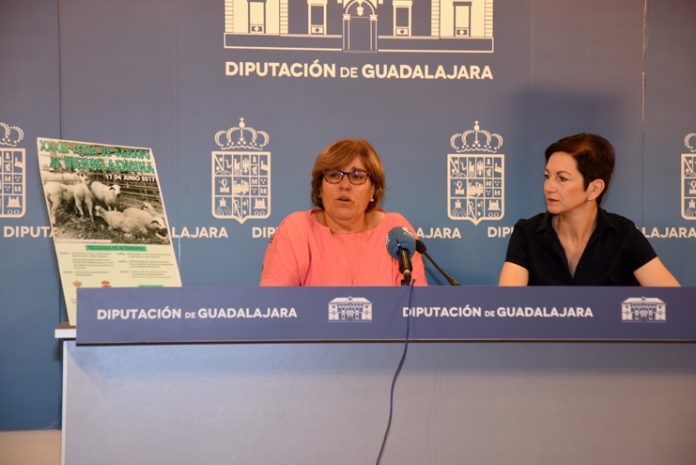 Hiendelaencina feria ganado