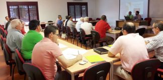 Cooperativas Agro-alimentarias estima descenso del 10% en campaña aceite