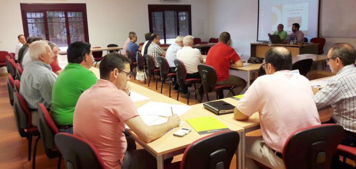 Sectorial de Aceite de Oliva de Cooperativas