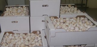 Los productos agroalimentarios lideran el incremento de exportaciones de provincia Cuenca