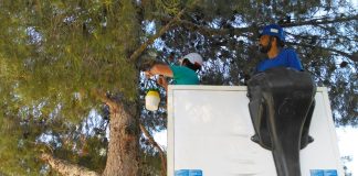 Ayuntamiento Tomelloso apuesta por tratamientos respetuosos con medio ambiente para control plagas