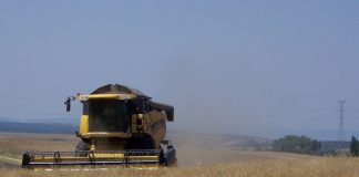 Cooperativas Agro-alimentarias prevé una cosecha de cereales un 40% inferior