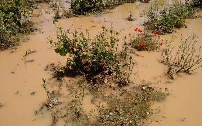 daños tormenta