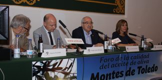 Aceite oliva virgen extra, protagonista en Foro DOP Montes de Toledo