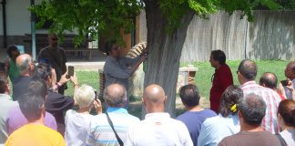Diputación de Toledo organiza una jornada novedosa sobre endoterapia vegetal