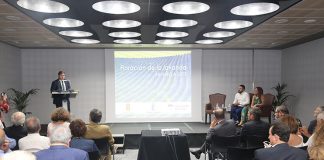 La lavanda, una planta aromática con mucha fuerza turística