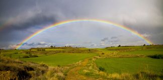 UPA Joven y Fademur, por la tolerancia en todos los territorios