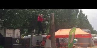 Equipo Hacha más difícil todavía, en FERDUQUE 2017