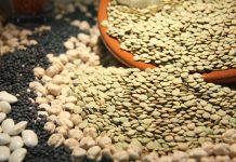 Legumbreviva, jornada para reivindicar el valor de las legumbres que produce Castilla-La Mancha