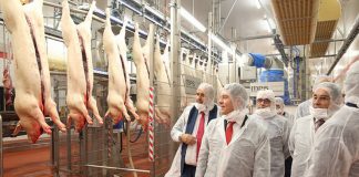 Inaugurado el nuevo matadero de porcino de Incarlopsa, en Tarancón (Cuenca)