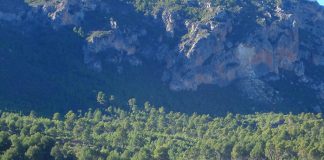 Castilla-La Mancha pide al Gobierno de España eje “exclusivo” de despoblación pueblo