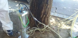 Endoterapia para tratar plagas en árboles, en Manzanares (Ciudad Real)