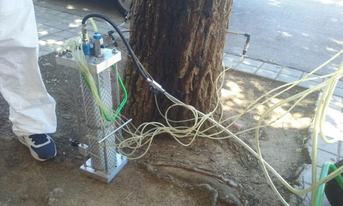 tratamientos arboles