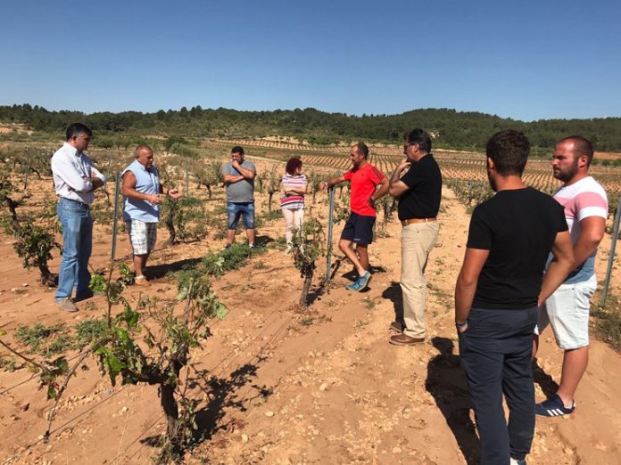 visita zona tormentas