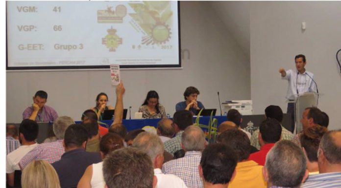 Presencia sobresaliente de AGRAMA en la 57ª edición de FERCAM